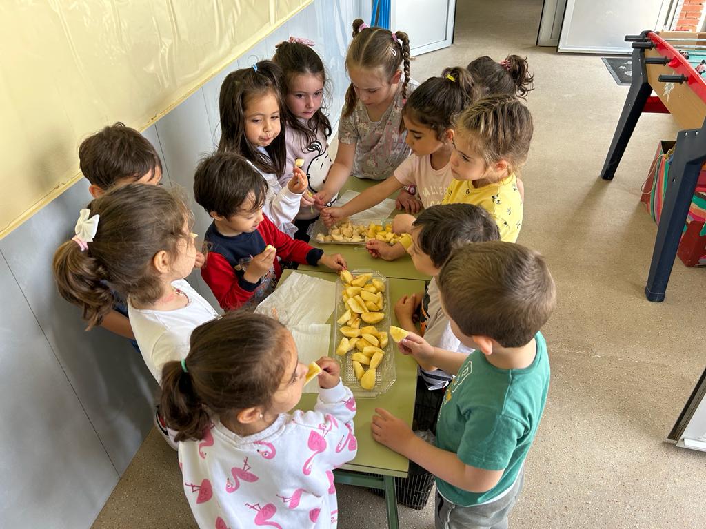 Frutas y verduras Tariego