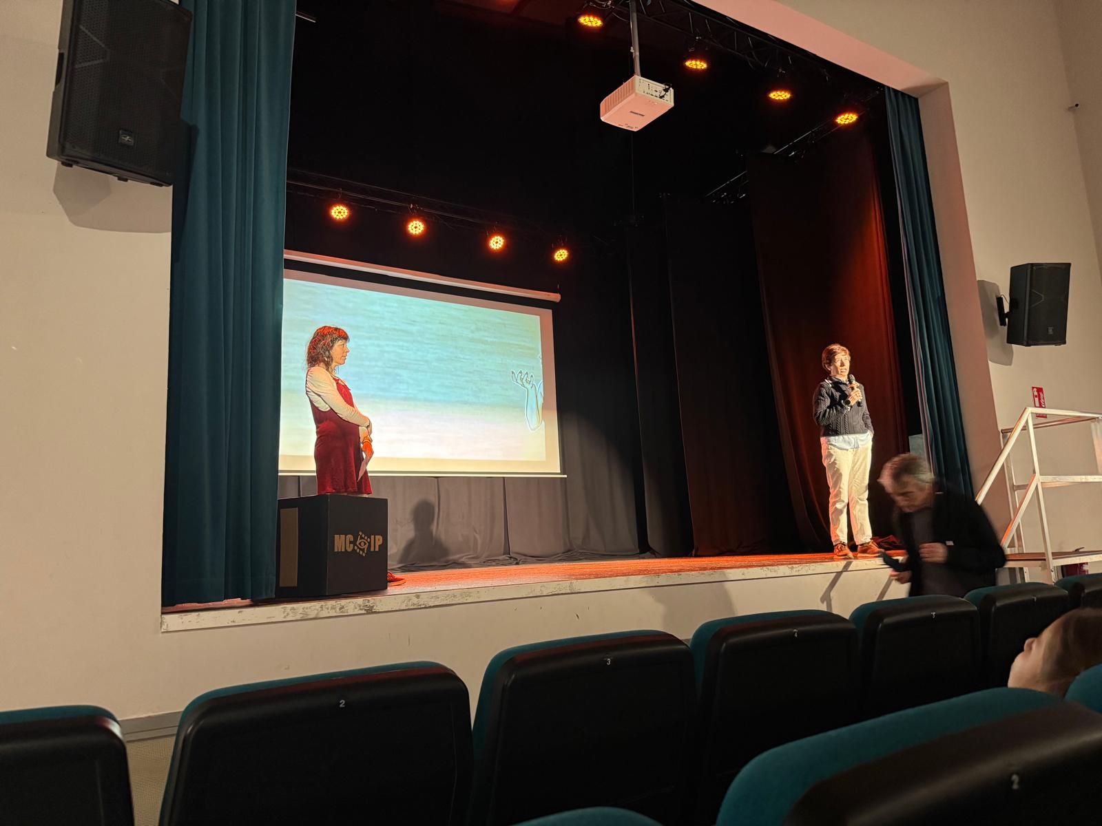 Muestra de cine Muestra de cine